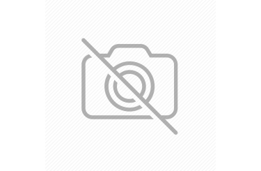 Remorca REPO DRS 1950 x 1050 x 340 basculabila 750 kg