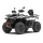 T3b 